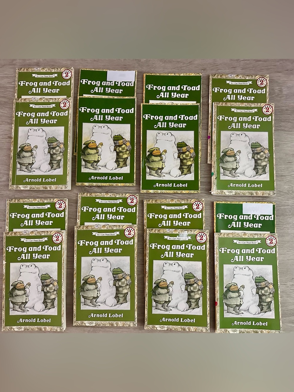 SIXTEEN (16) Frog and Toad All Year Books, Teacher Bundle